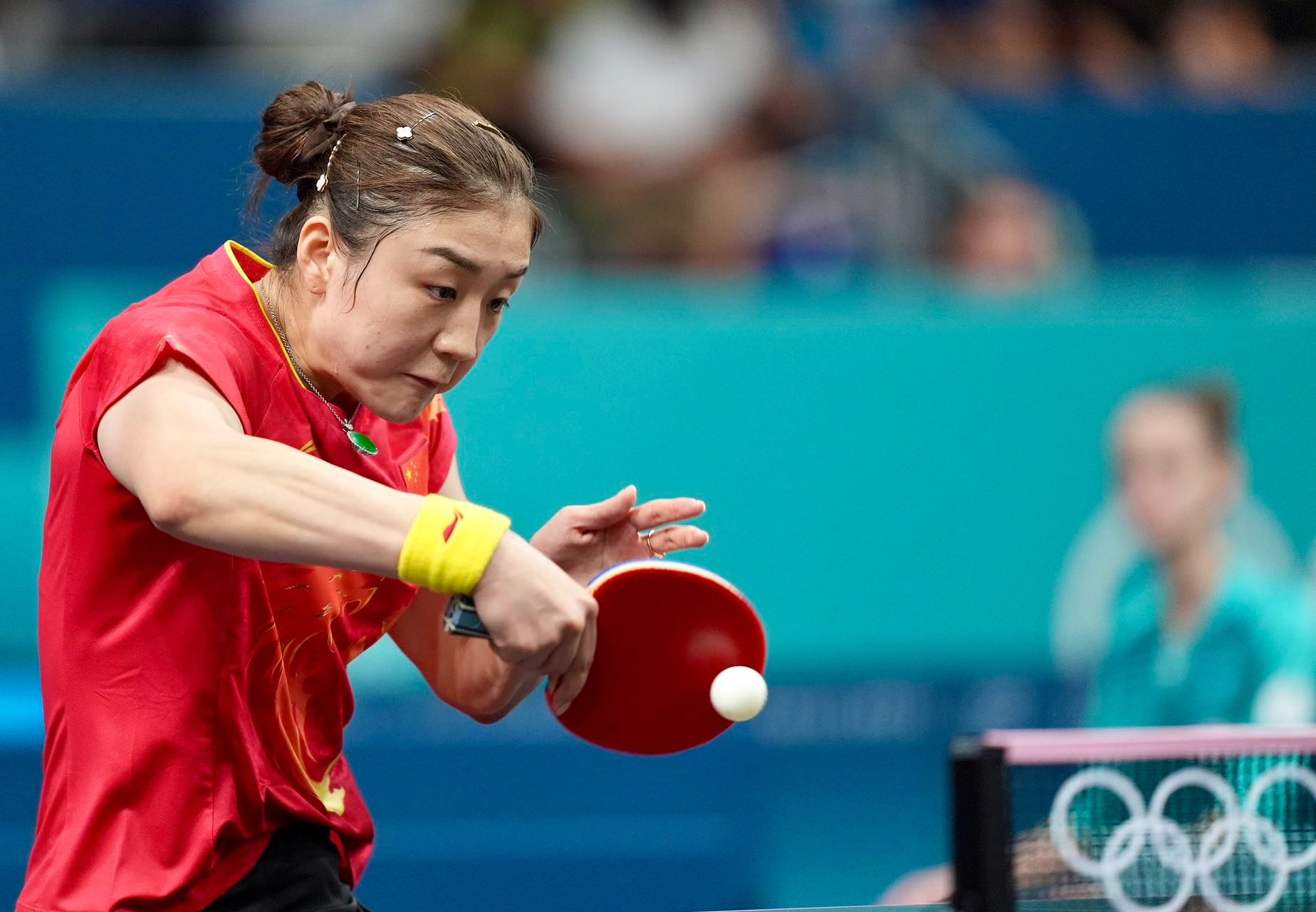 💡乒乓球女单1/4决赛:陈梦4-0完胜奥地利选手波尔卡诺娃晋级半决赛